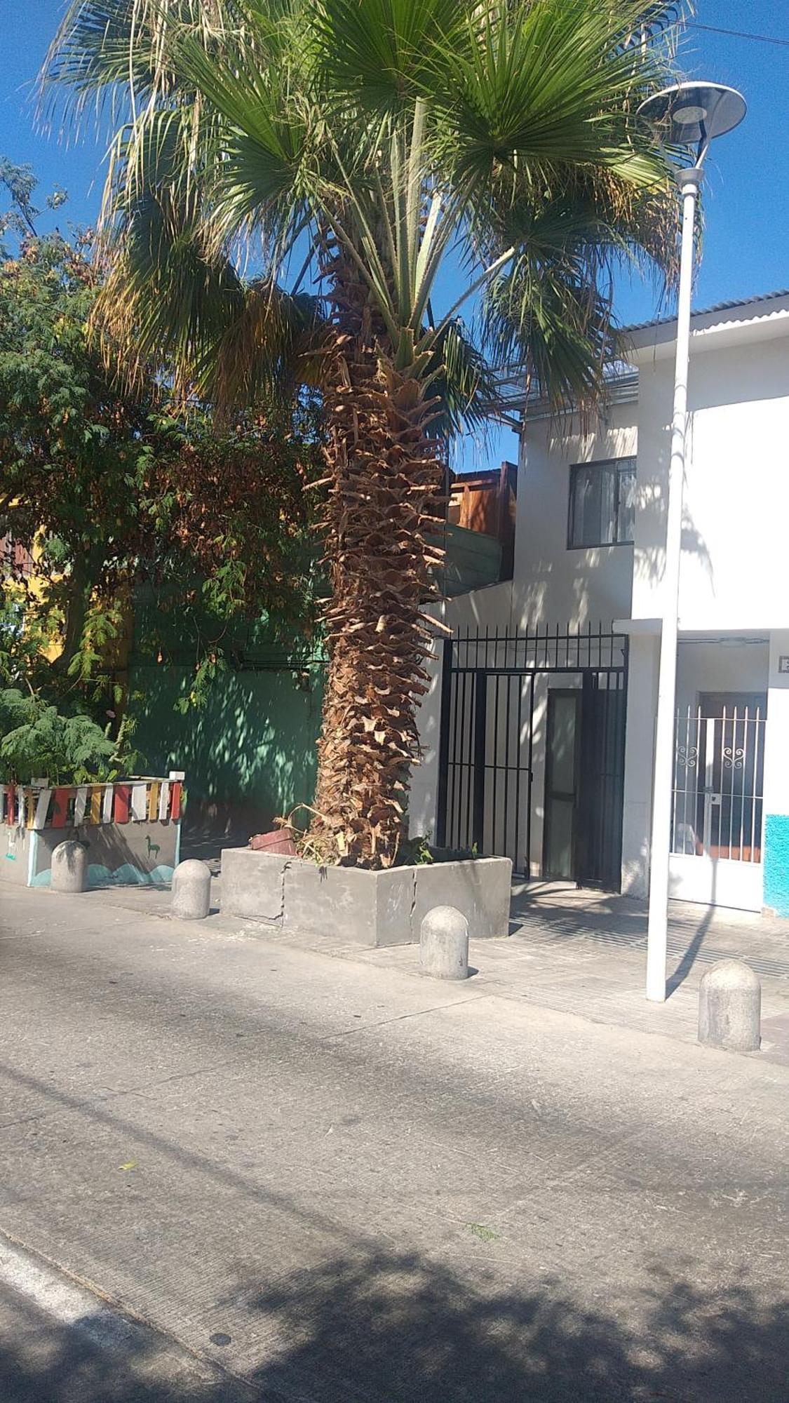 Hostal La Ruca Antofagasta Bagian luar foto